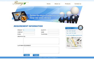 網(wǎng)頁與網(wǎng)站設(shè)計(jì) 構(gòu)建企業(yè)數(shù)字門戶的藝術(shù)與科學(xué)